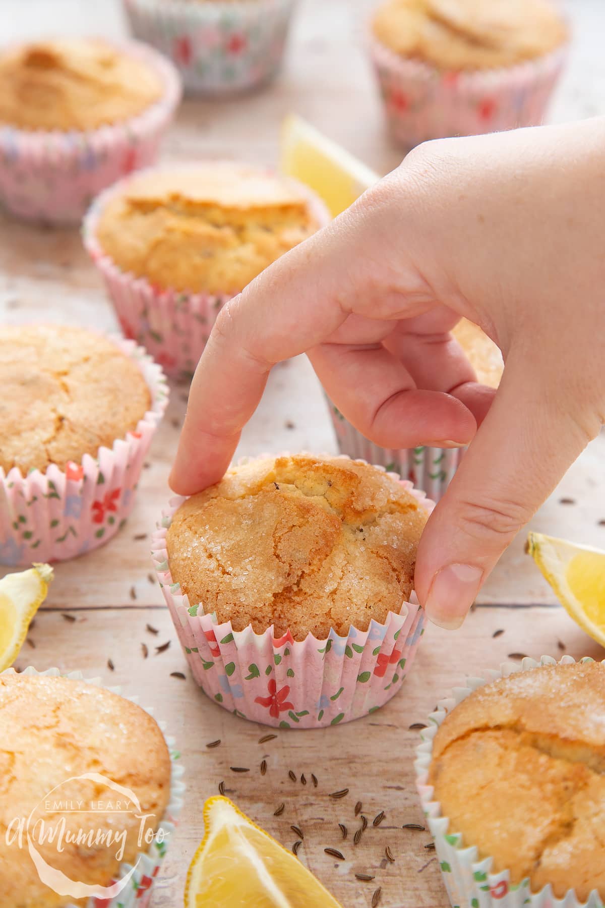 Overhead shot of a hand holding a half eaten Caraway seed muffin with a mummy too logo in the lower-left corner