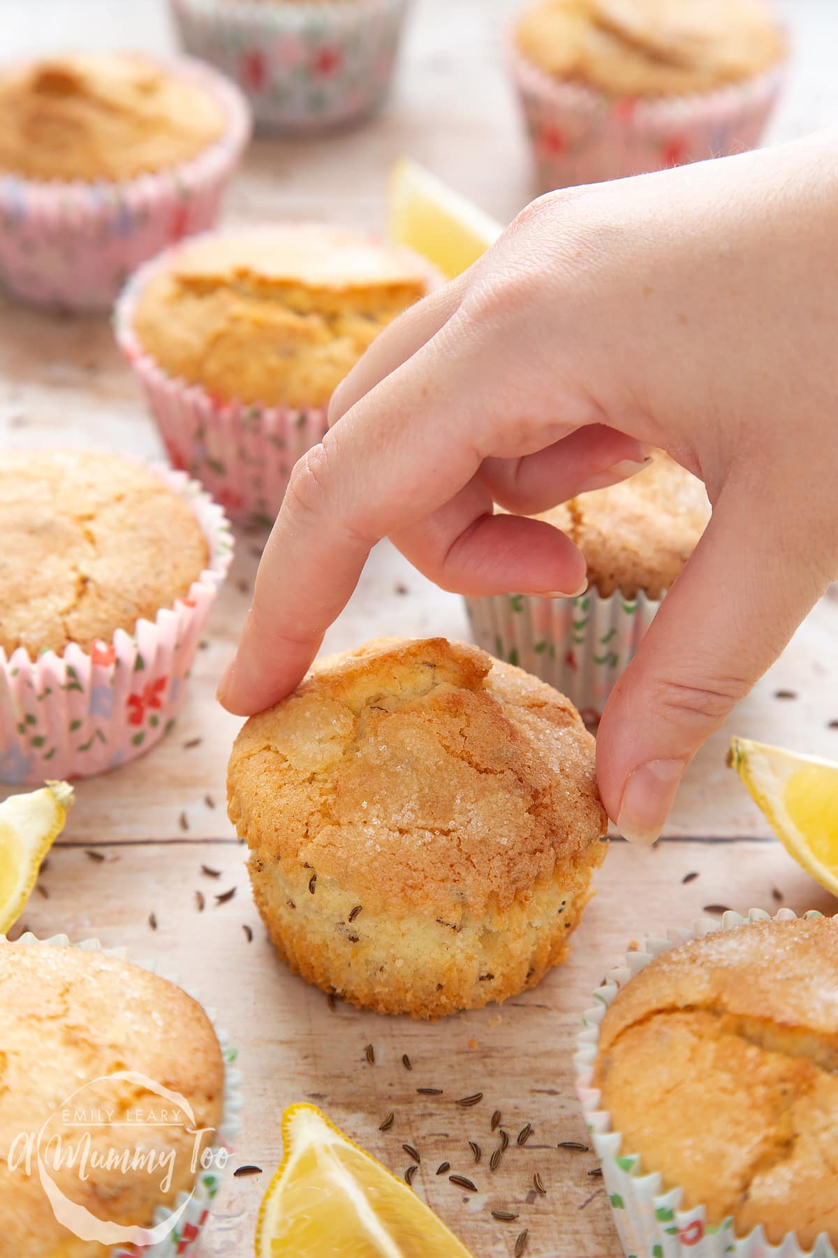 Overhead shot of a hand touching a caraway seed muffin with a mummy too logo in the lower-left corner