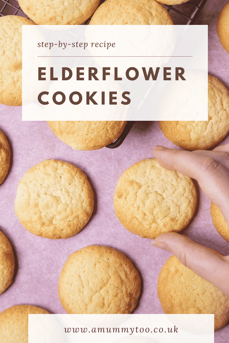 Overhead shot of the elderflower cookies on a pink counter top with a hand reaching in to pick one of the cookies up. 