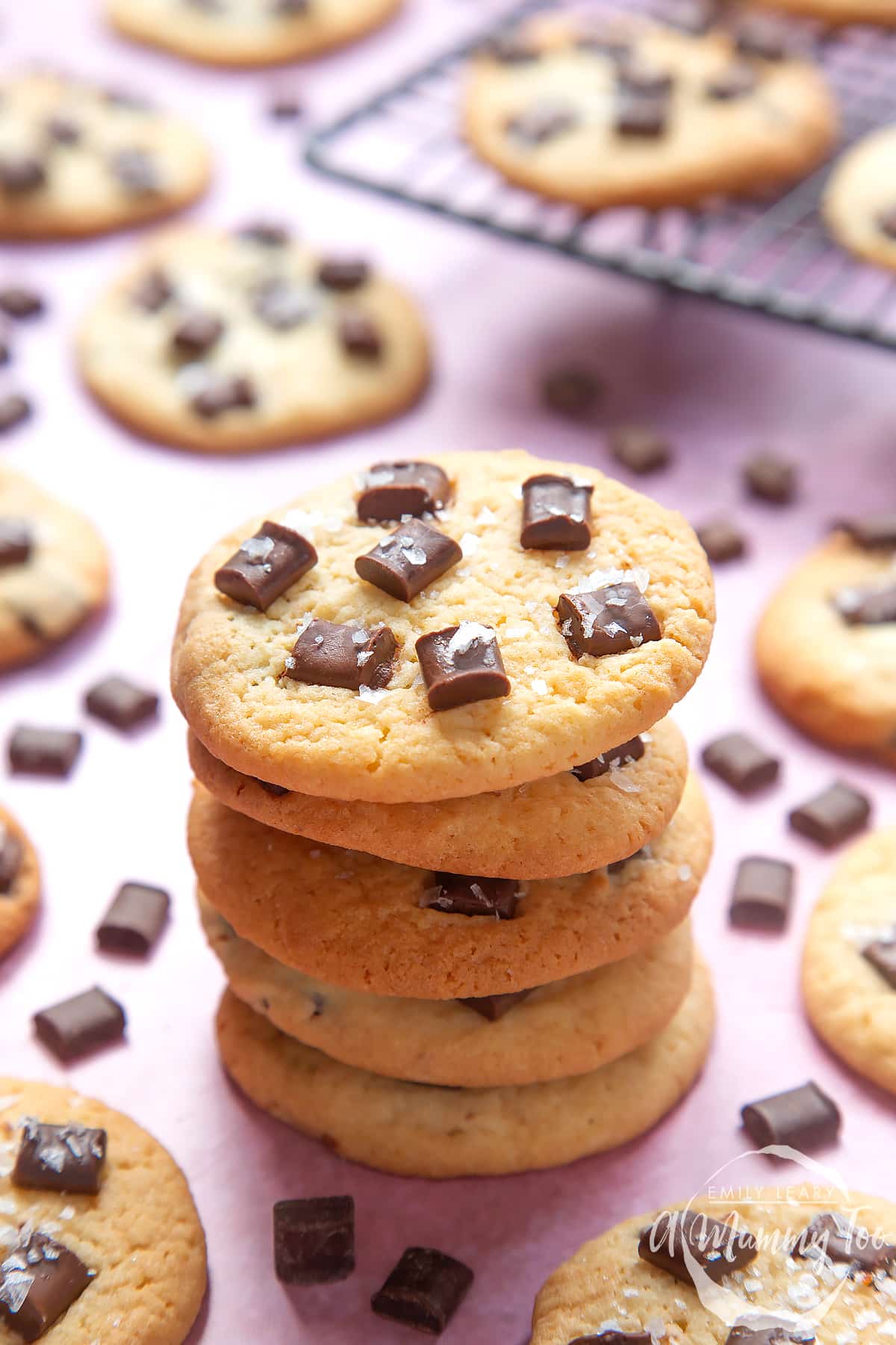 Front angle shot of a stack of dark chocolate sea salt cookies with a mummy too logo in the lower-right corner