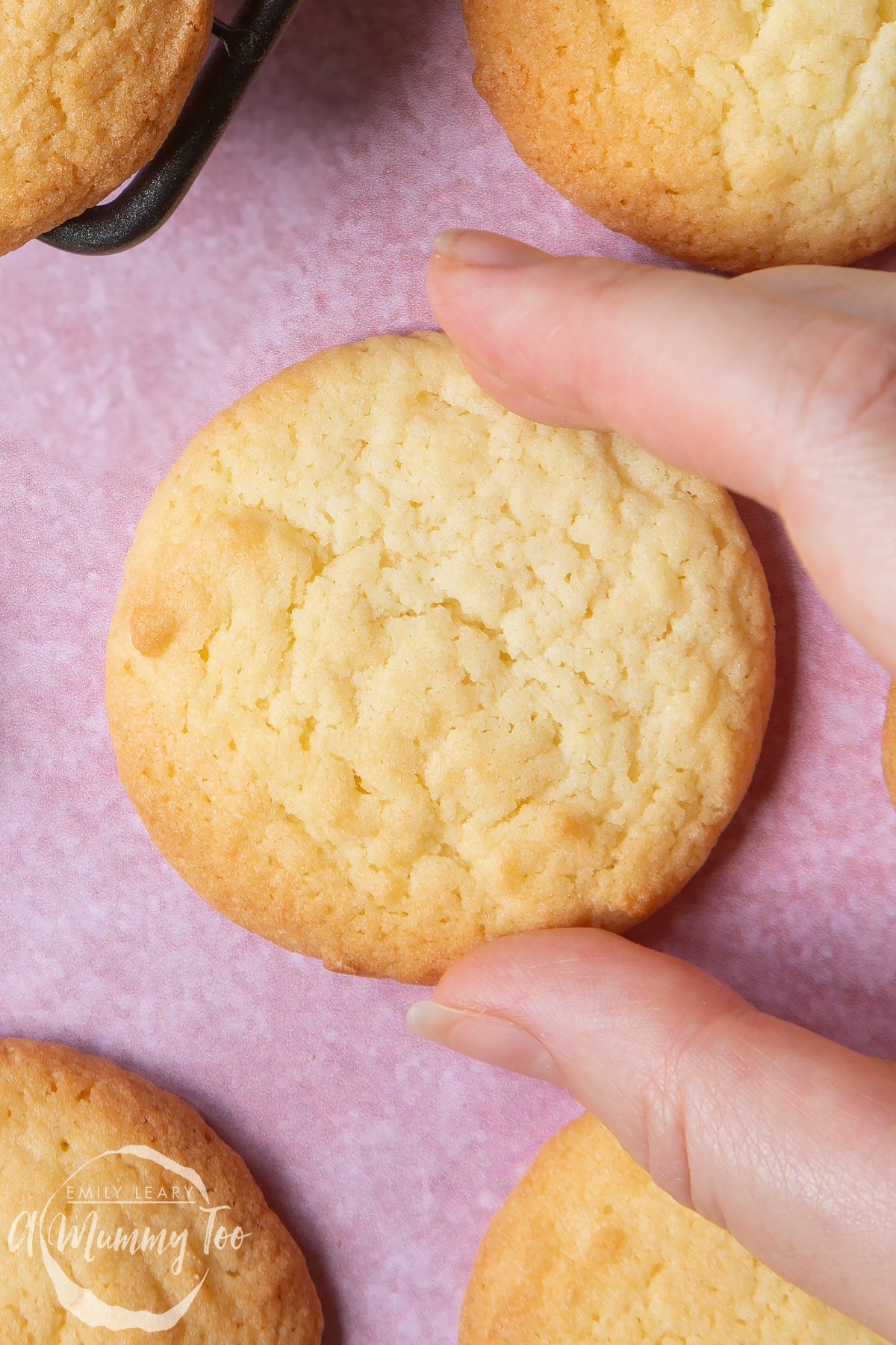 Overhead shot of a hand holding a Elderflower cookie with a mummy too logo in the lower-left corner