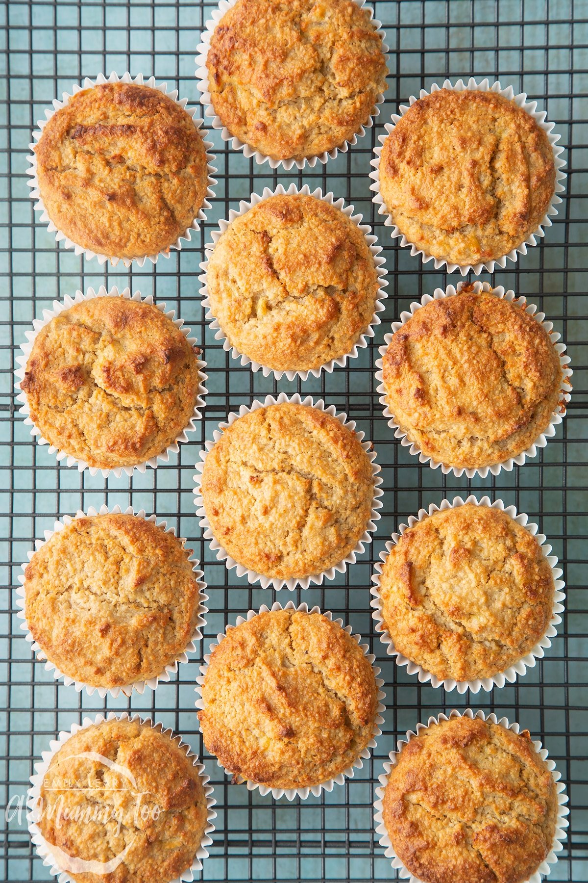 Overhead shot of breakfast oat muffins in baking rack with a mummy too logo in the lower-left corner