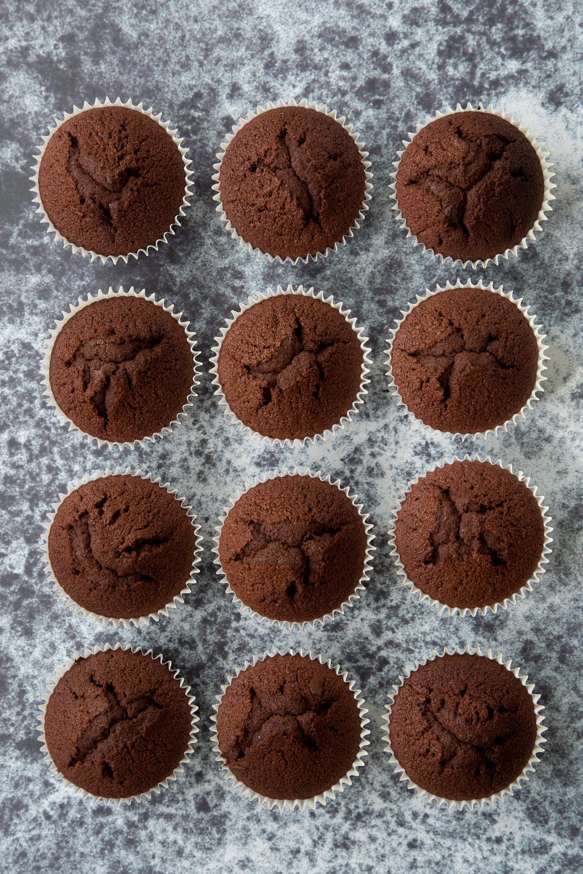 12 chocolate cupcakes on a dark background, shown from above.