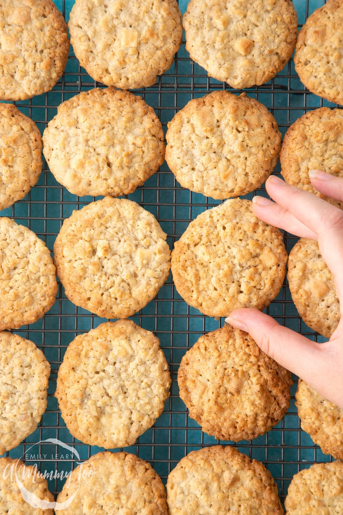 Overhead shot of a hand holding a white chocolate chip oatmeal cookie on a wiring rack with a mummy too logo in the lower-left corner