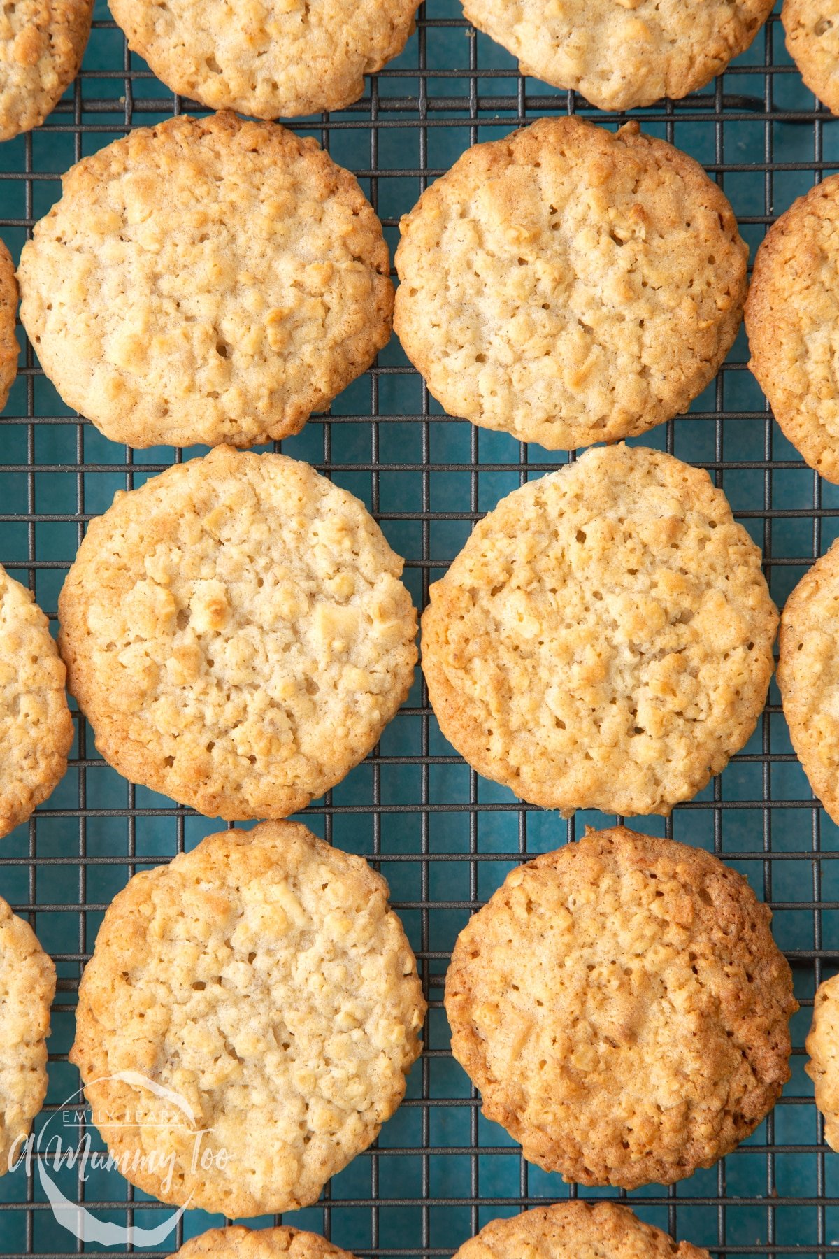 Overhead shot of white chocolate chip oatmeal cookies on a wiring rack with a mummy too logo in the lower-left corner