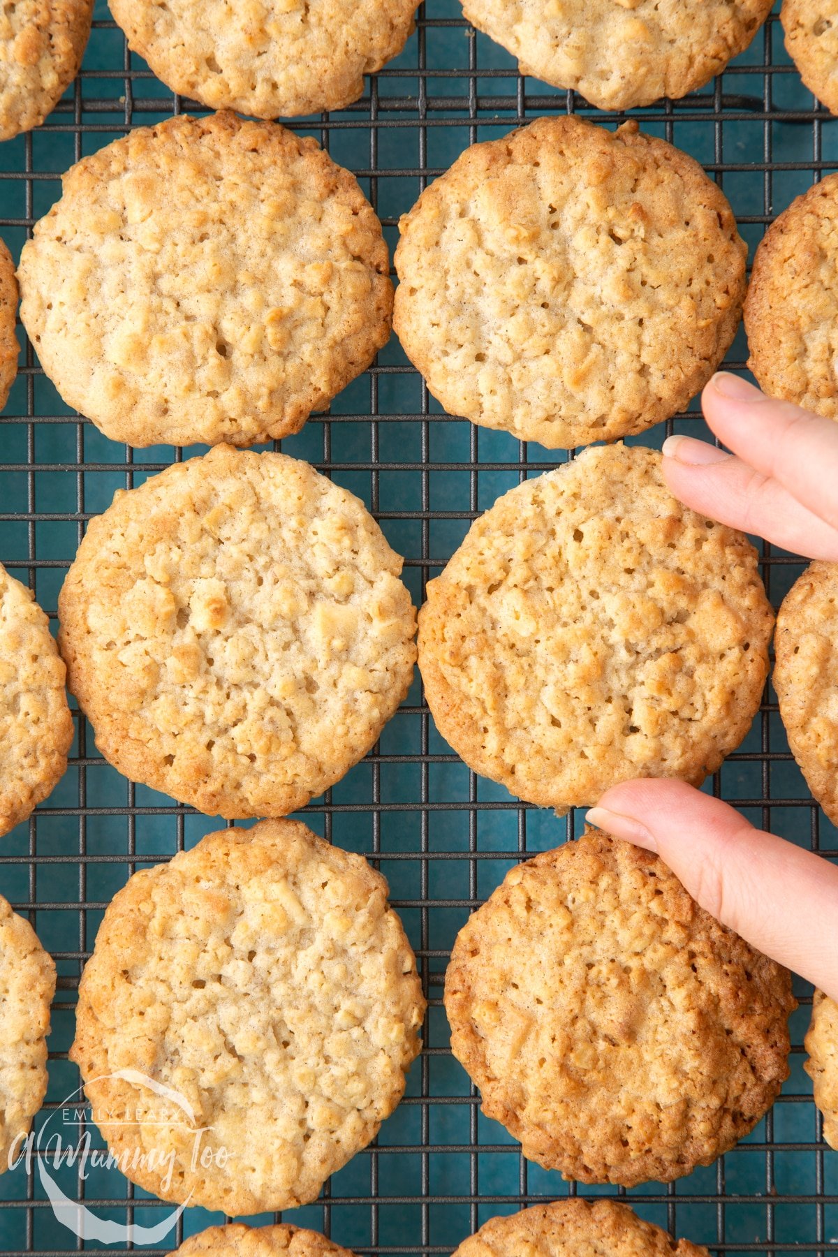 Overhead shot of a hand breaking a oatmeal cookies with a mummy too logo in the lower-left corner