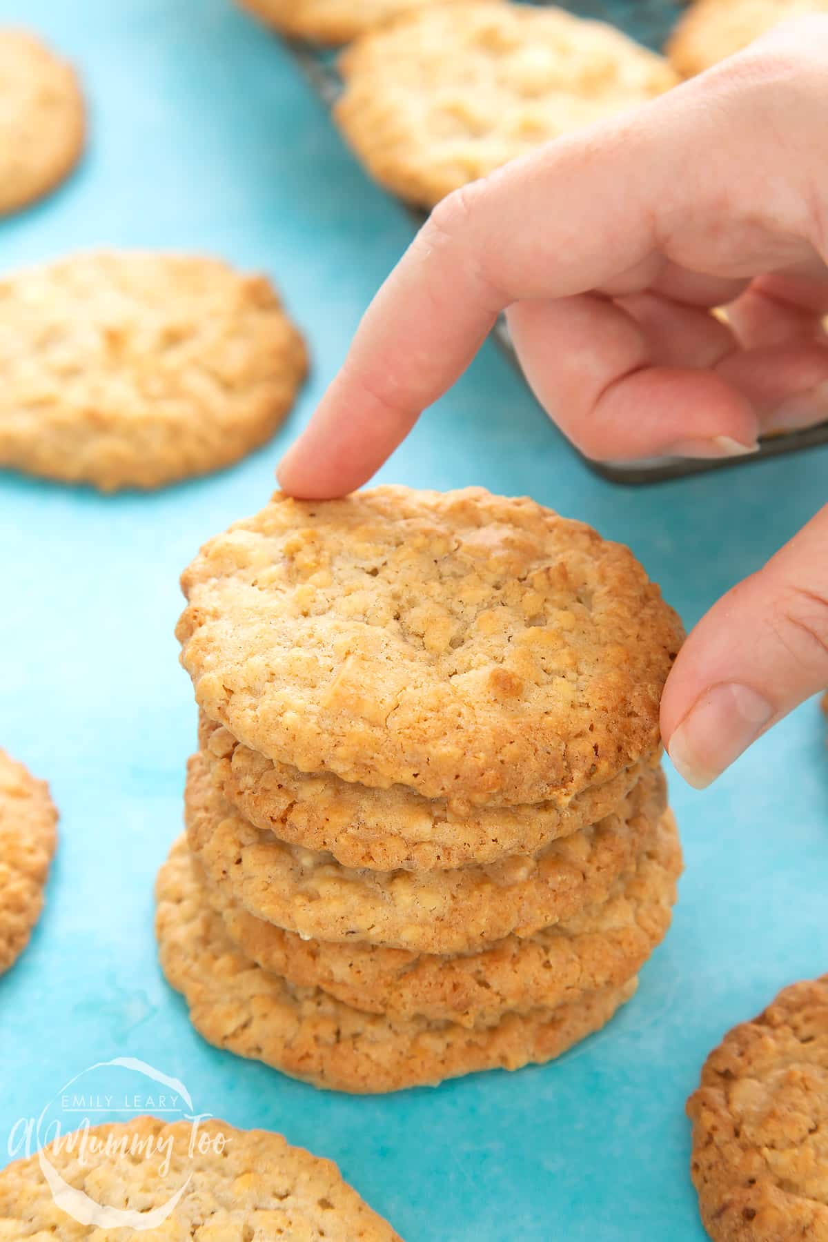 Front view shot of a hand holding a white chocolate chip oatmeal cookie with a mummy too logo in the lower-left corner