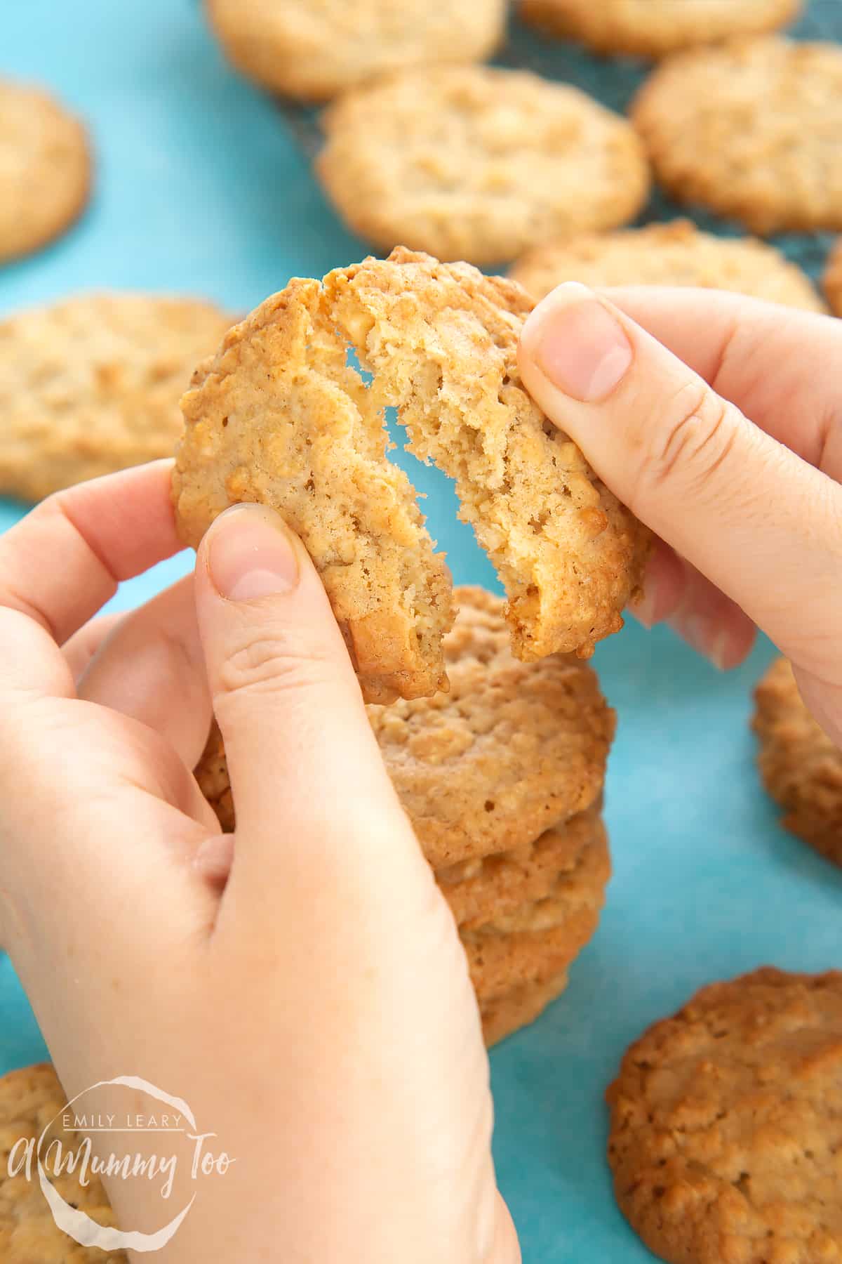 Overhead shot of a hand breaking a oatmeal cookies with a mummy too logo in the lower-left corner