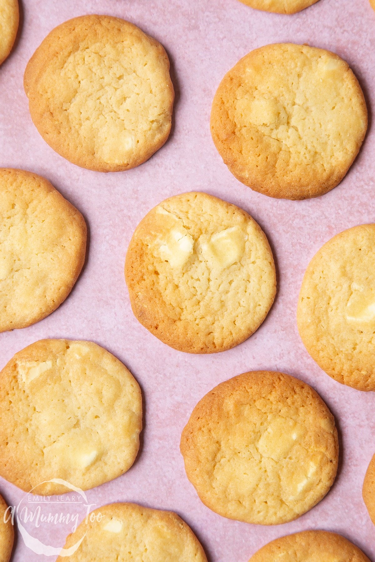 Overhead shot of the baked white chocolate chip cookies on a pink surface.