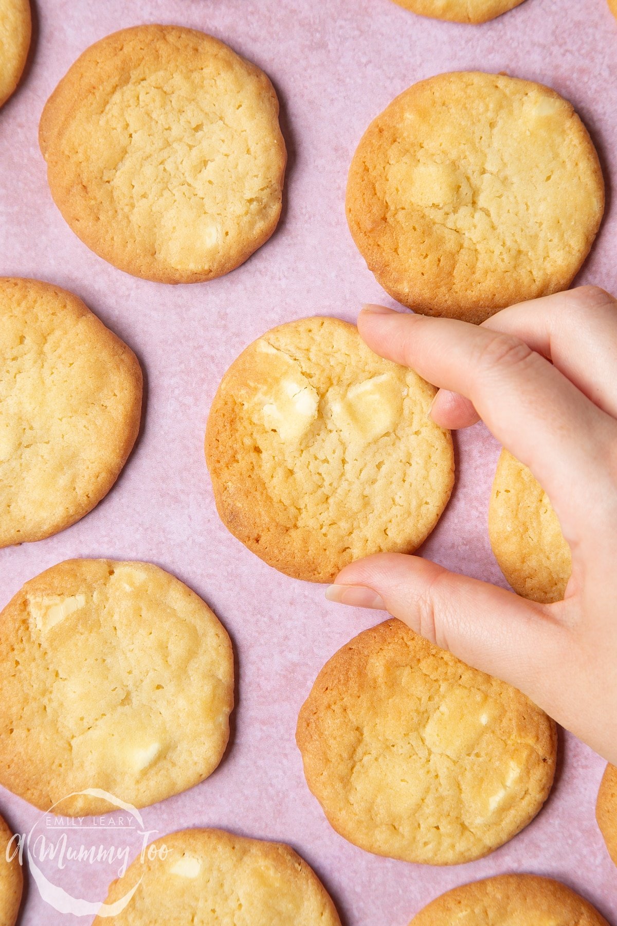 Overhead shot of a hand going in to pick up one of the white chocolate chip cookies.