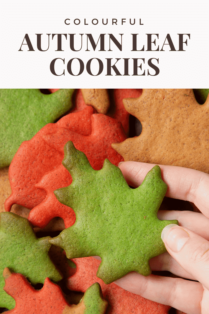 Hand holding a green autumn biscuits above a pile of red, green and brown autumn cookies cut into the shapes of autumn leaves. Caption reads: colouring autumn leaf cookies