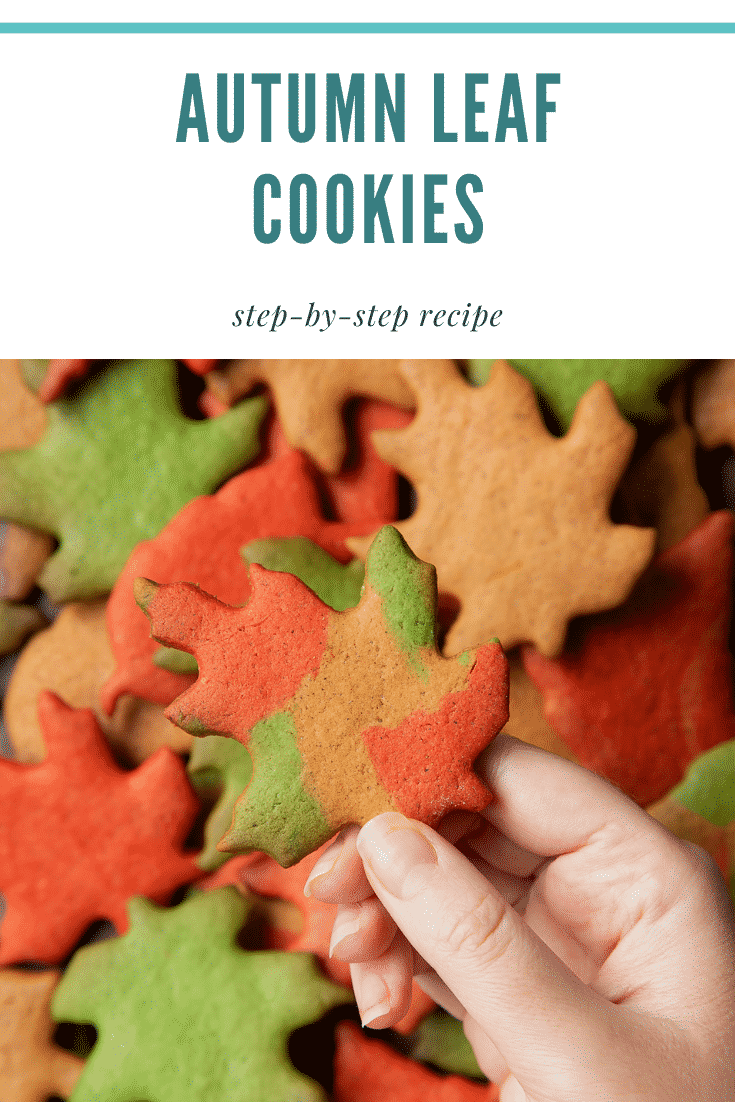 A pile of colourful red, green and brown autumn cookies cut into the shapes of autumn leaves. A hand holds a multicoloured one. Caption reads: autumn leaf cookies step-by-step recipe