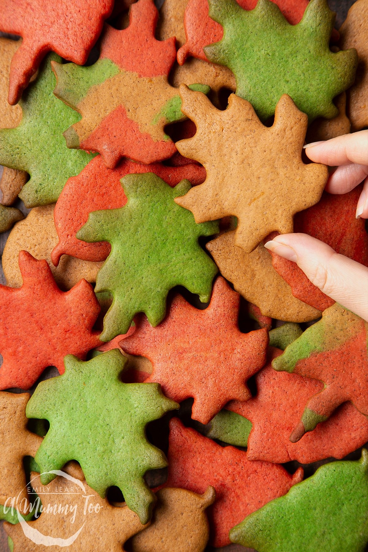 A pile of colourful red, green and brown autumn cookies cut into the shapes of autumn leaves. A hand reaches to take one.