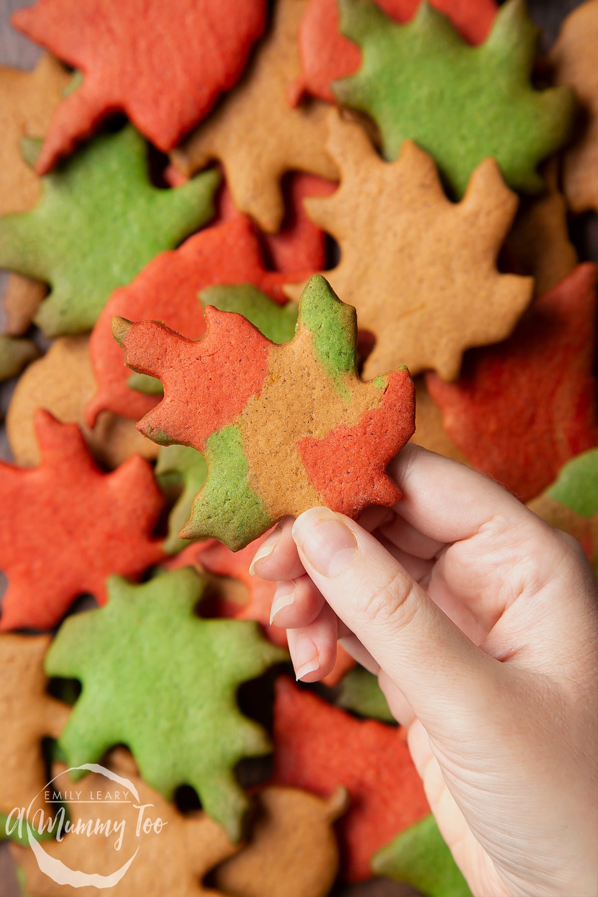 A pile of colourful red, green and brown autumn cookies cut into the shapes of autumn leaves. A hand holds a multicoloured one.