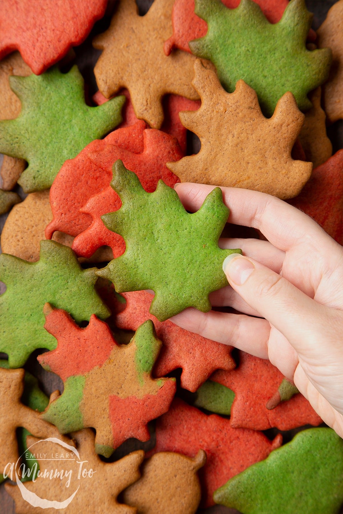 A pile of colourful red, green and brown autumn cookies cut into the shapes of autumn leaves. A hand hols a green leaf.