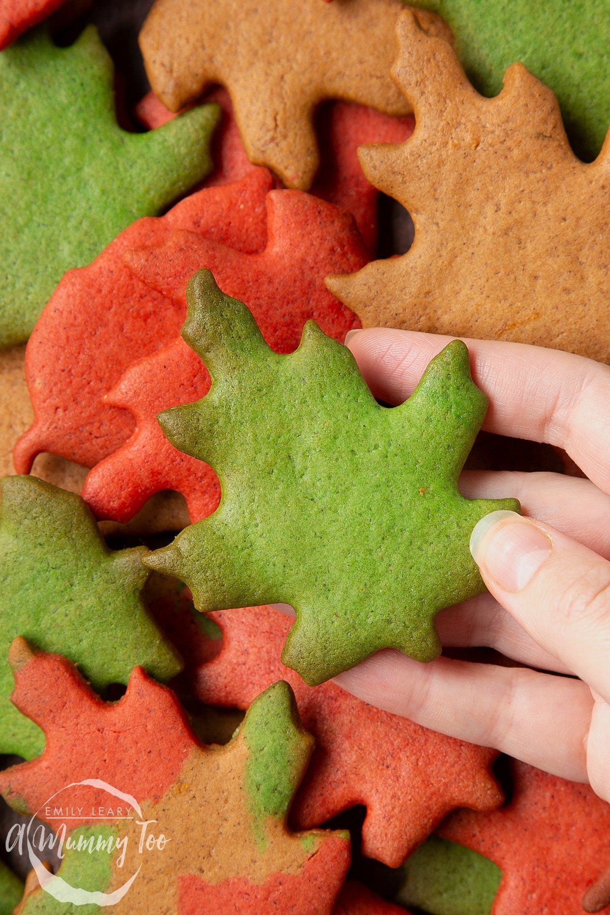 Hand holding a green autumn biscuits above a pile of colourful red, green and brown autumn cookies cut into the shapes of autumn leaves. 