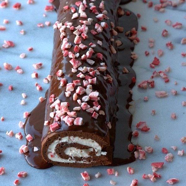 A close up photo of a chocolate and peppermint roulade. 