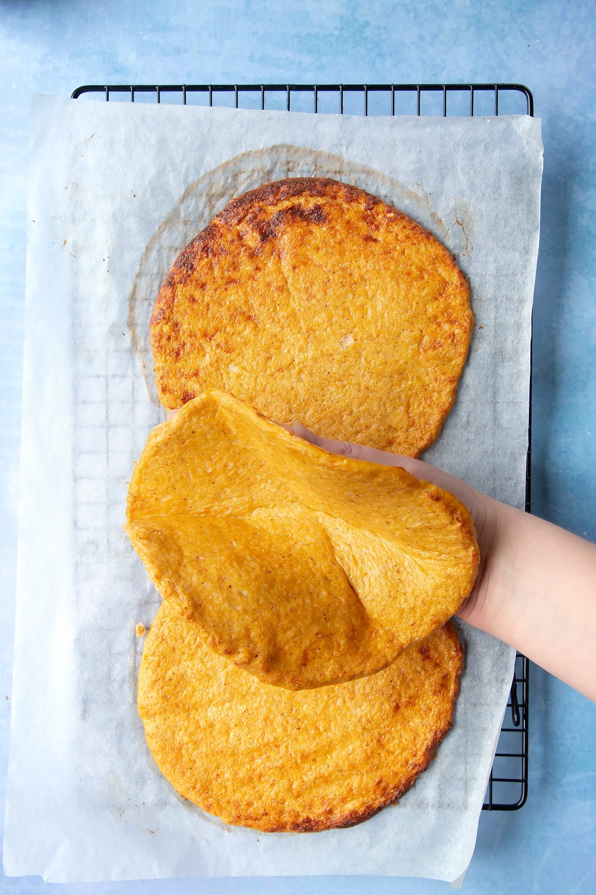 Cauliflower tortillas on a cooling rack. A hand holds a tortilla to show they're flexible.