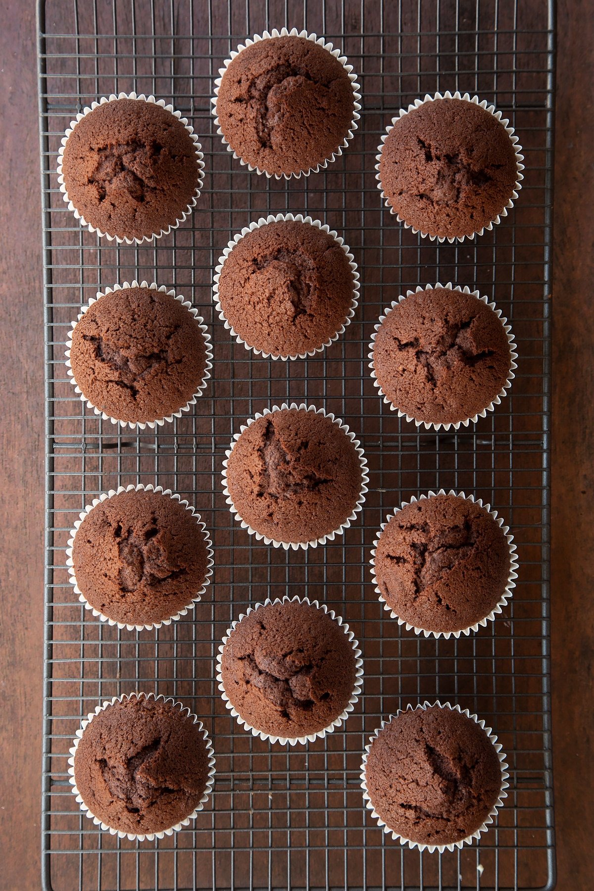 Overhead shot of chocolate cupcakes on a wire rack