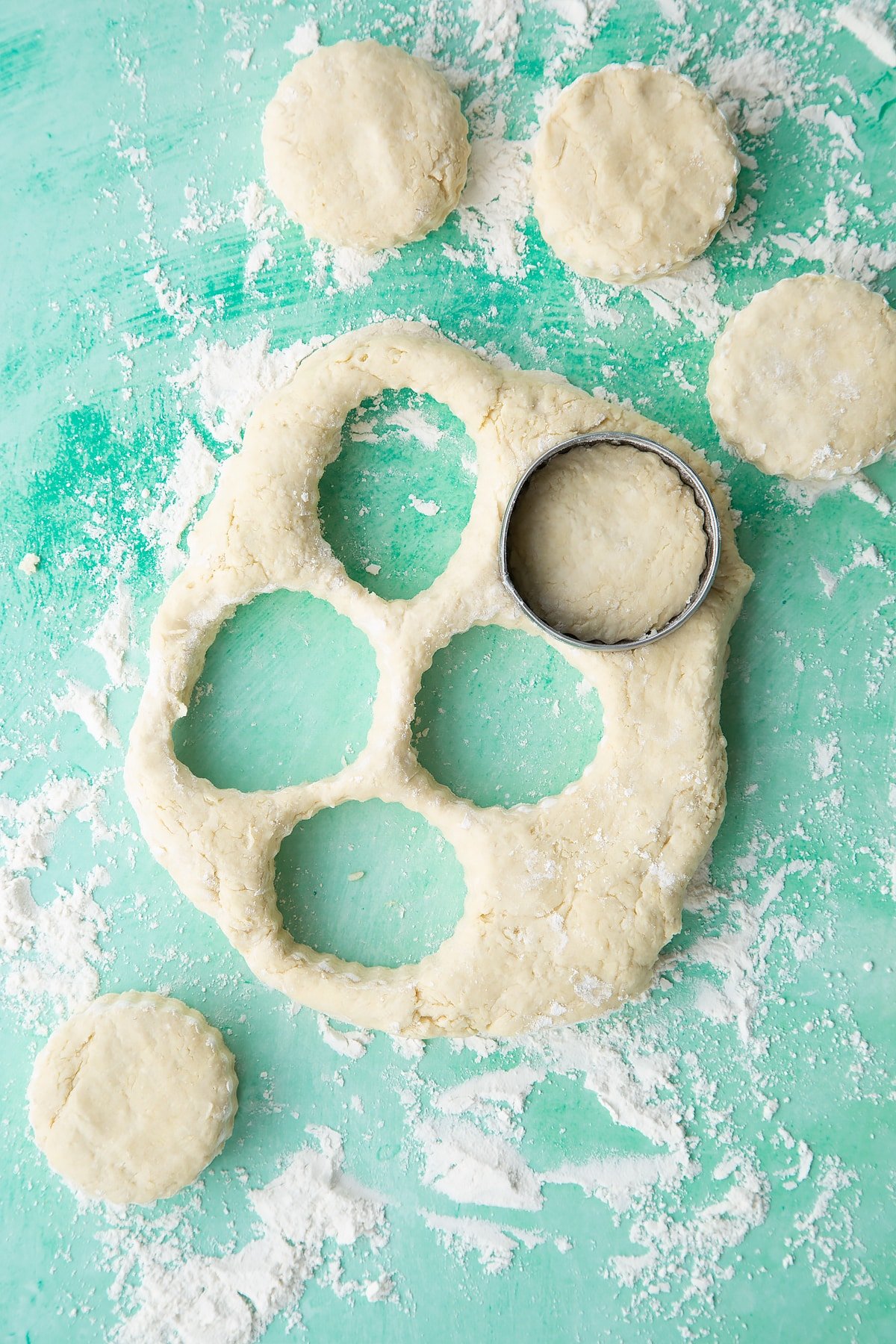 Dairy free scone dough pressed and cut into rounds on a floured surface.