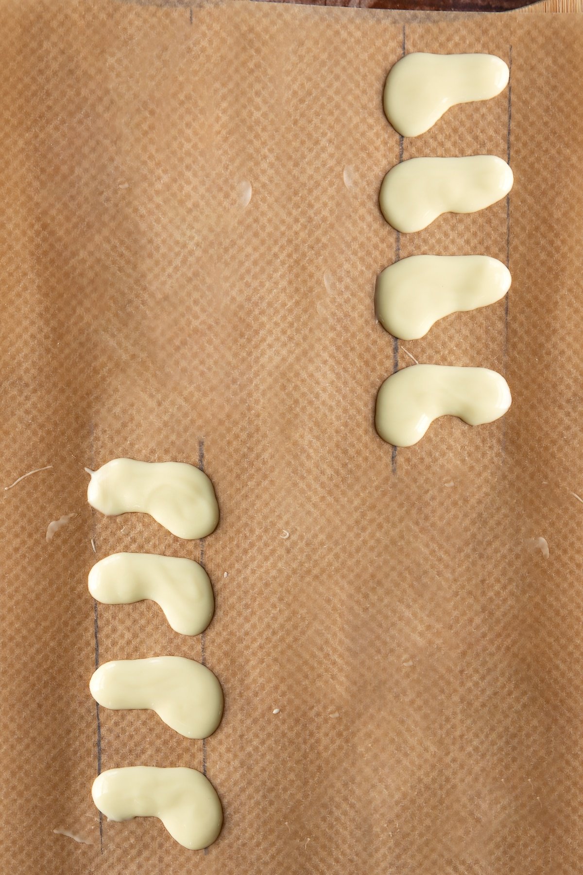 Eight white chocolate caterpillar legs piped onto baking paper.