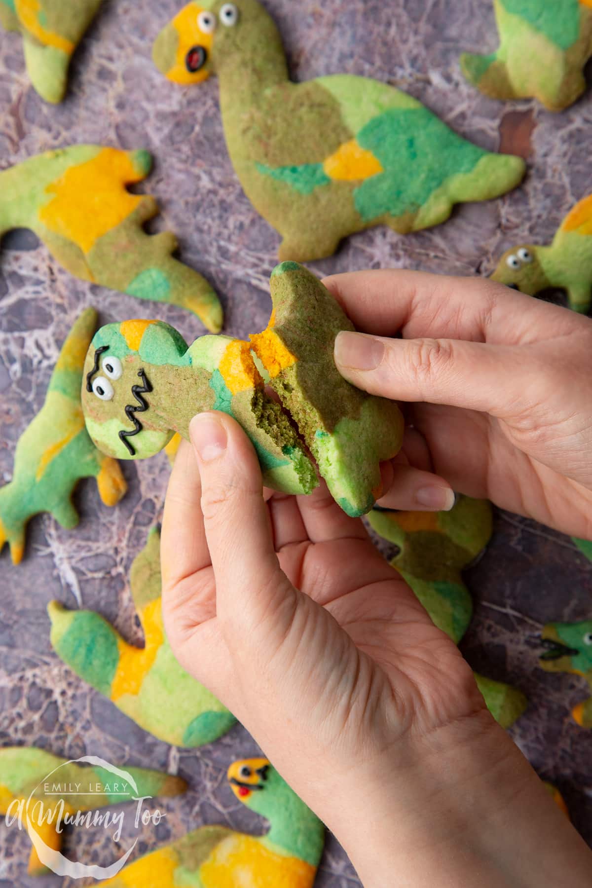 Overhead shot of hands holding a dinosaur cookie breaking it in half with the A Mummy Too logo in the corner