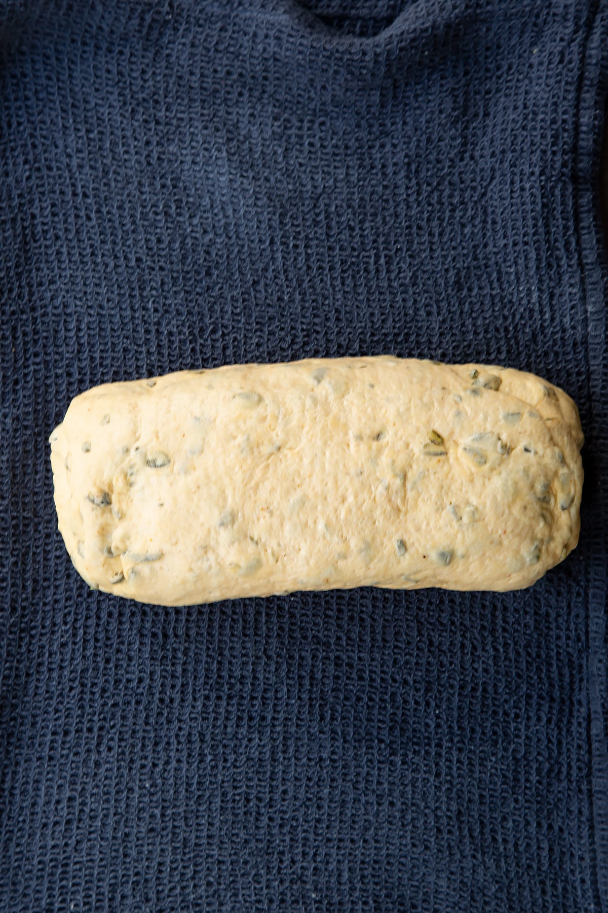 A roll of pumpkin seed specie dough on a wet tea towel.