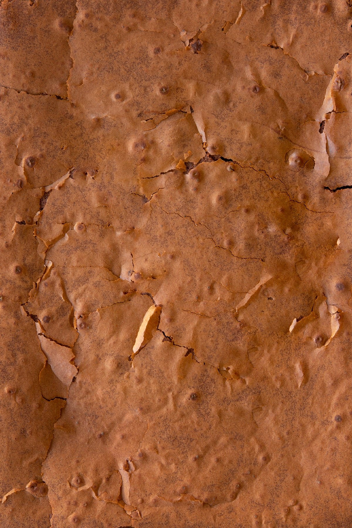 Close up of the shiny top of a Baileys brownie.