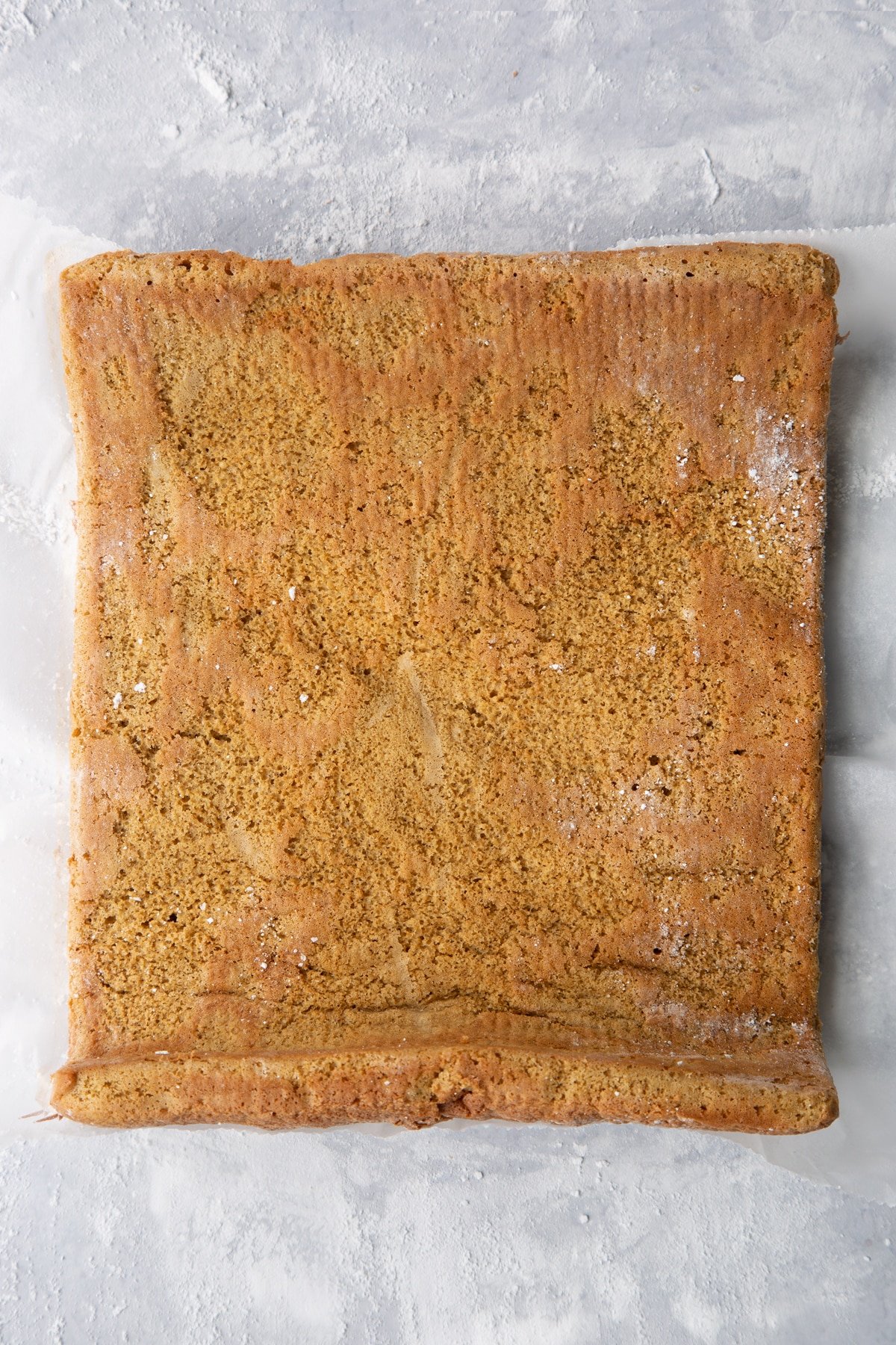 Gingerbread Swiss roll sponge unrolled on an icing sugar dusted surface.