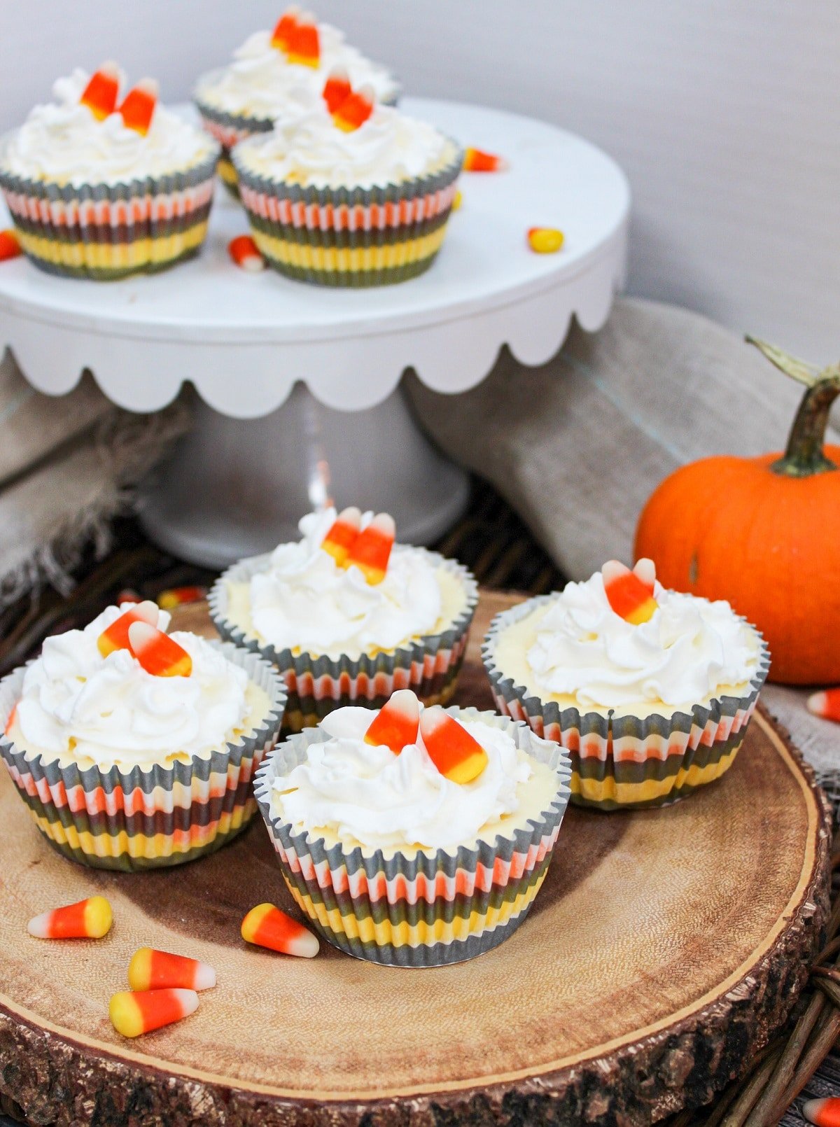 Mini candy corn cheesecakes, topped with squirty cream and candy corn.