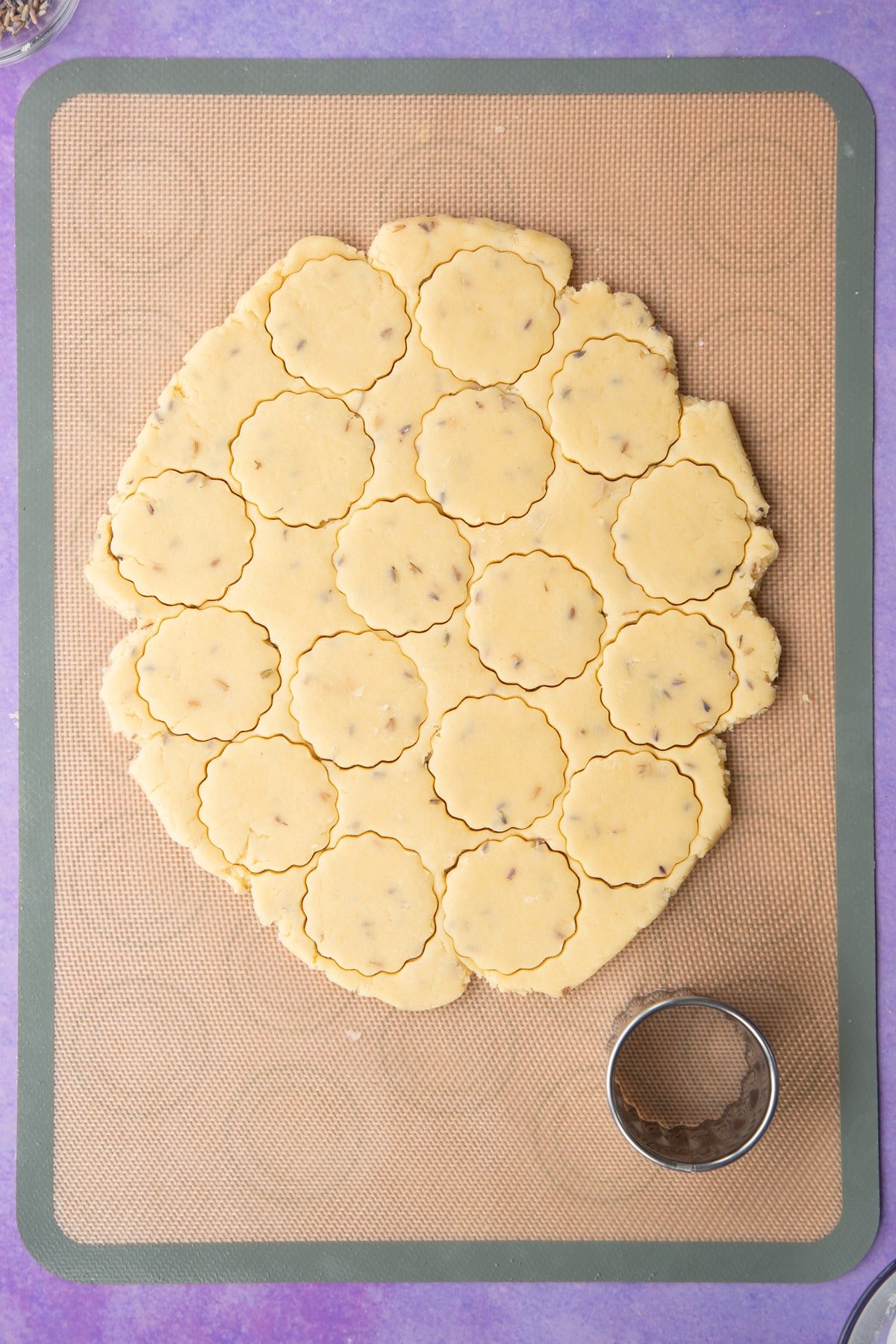 Lavender shortbread cookie dough rolled out on a matt with rounds cut out.