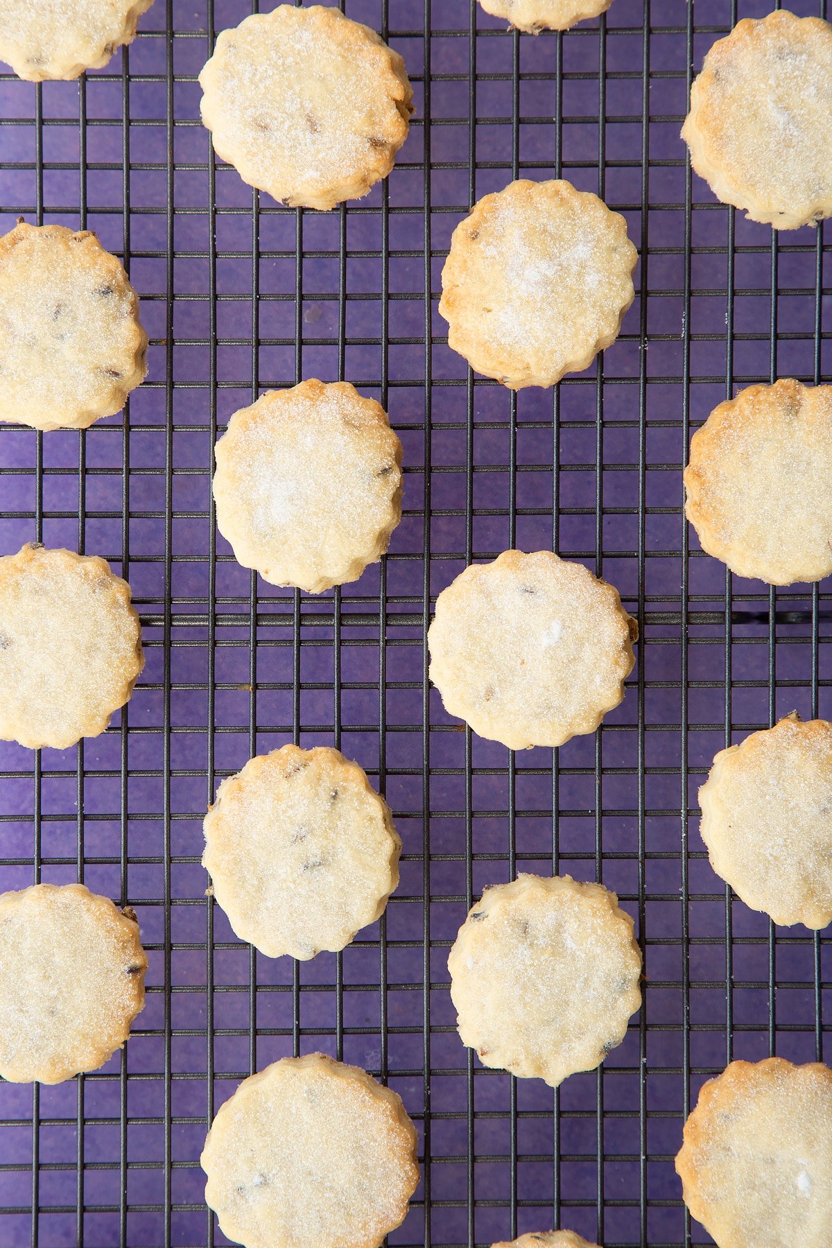 Lavender shortbread cookies freshly baked on a cooling rock.