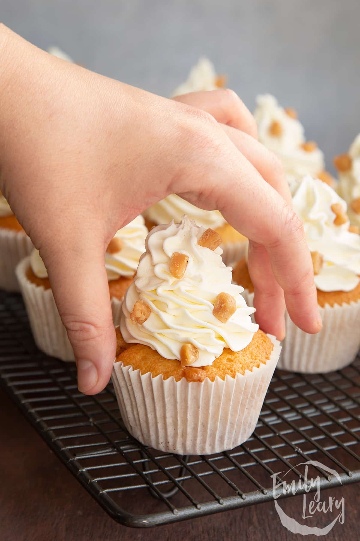 a hand picking up a vanilla fudge cupcake with vanilla buttercream and fudge chips.
