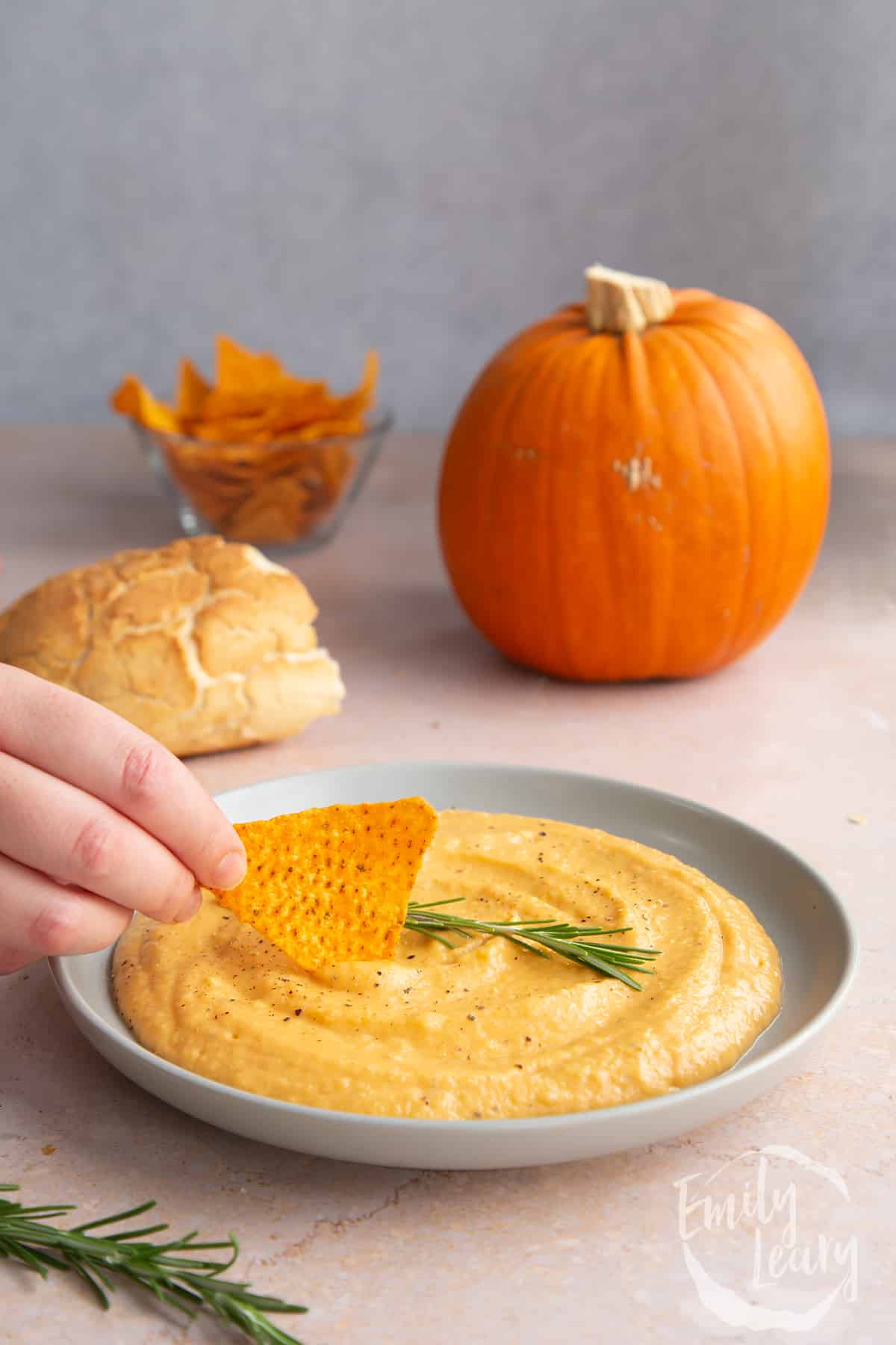 Vegan pumpkin dip in a shallow grey bowl with a sprig of rosemary. A hand dips a tortilla chip into it.