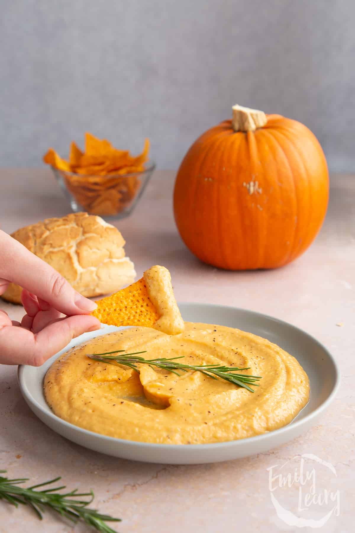 Vegan pumpkin dip in a shallow grey bowl with a sprig of rosemary. A hand holds a tortilla chip that has been dipped into it.
