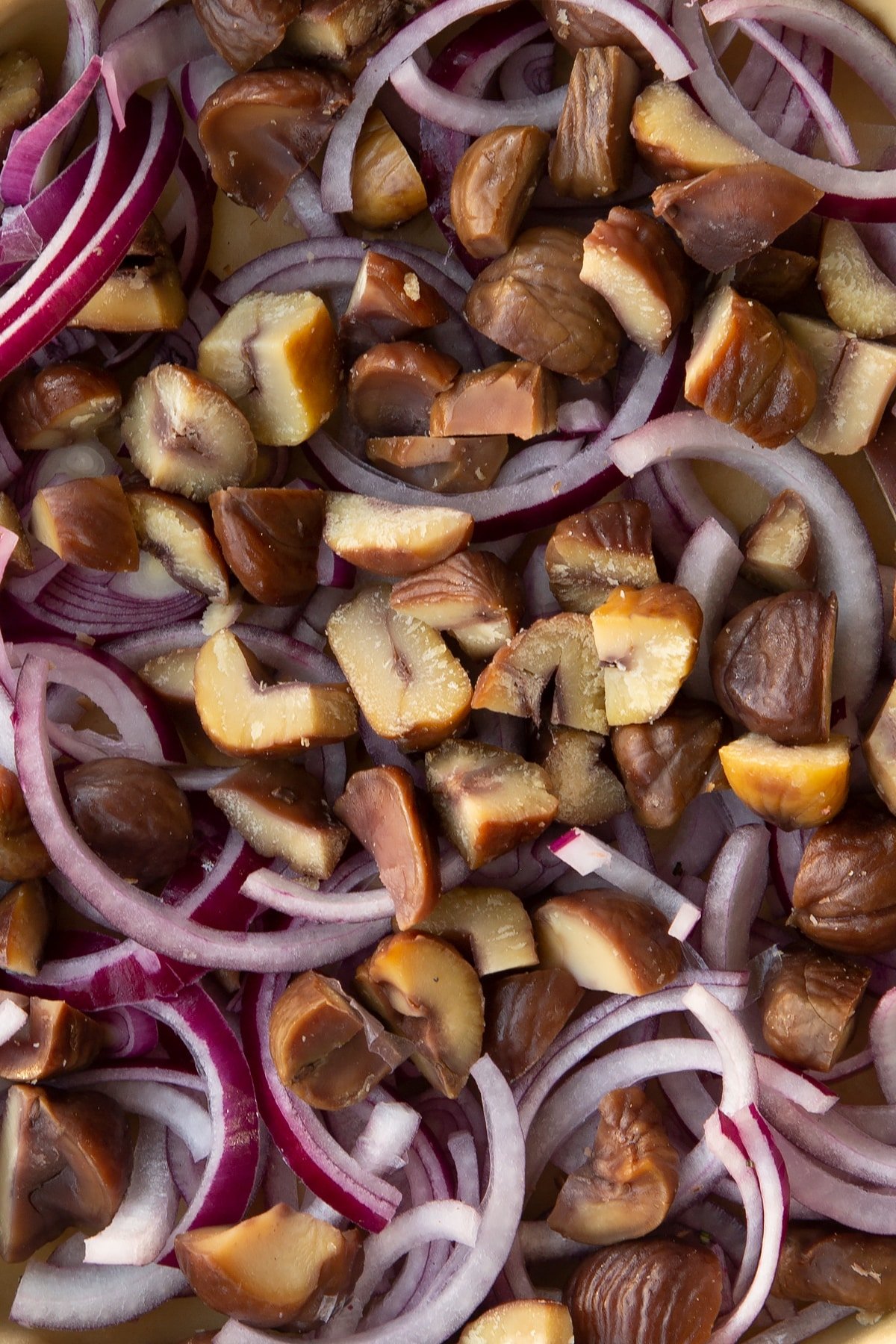 Overhead shot of chopped chestnuts and slices of red onion.