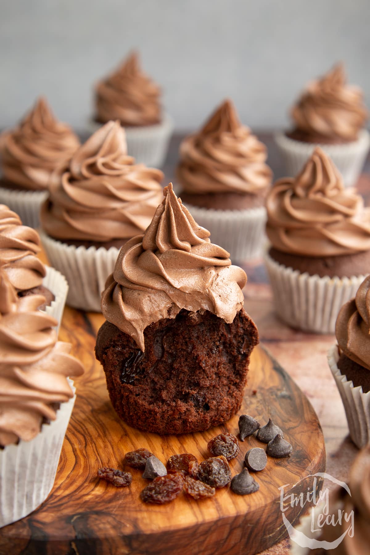Chocolate raisin muffins on a wooden board. The muffin in the fore is unwrapped with a bite out of it.
