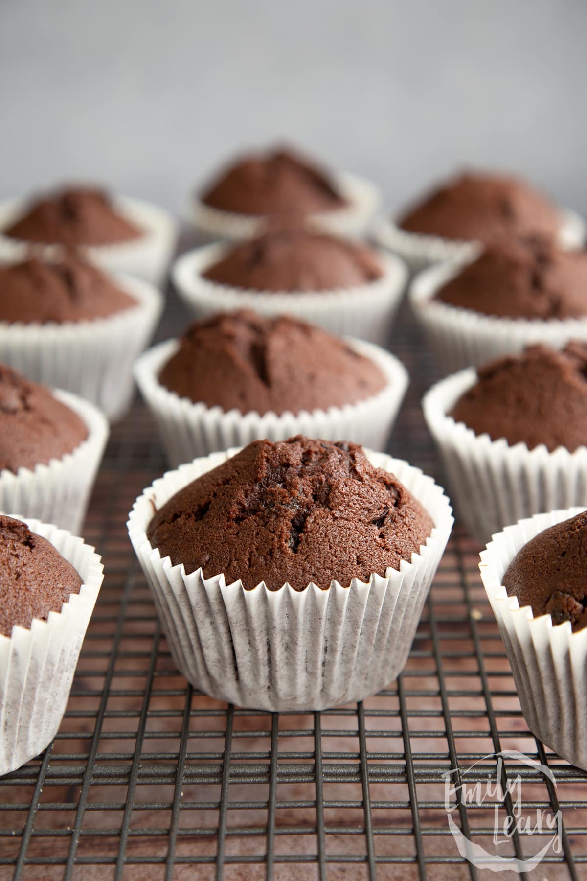 Unfrosted Chocolate raisin muffins on a cooling rack.