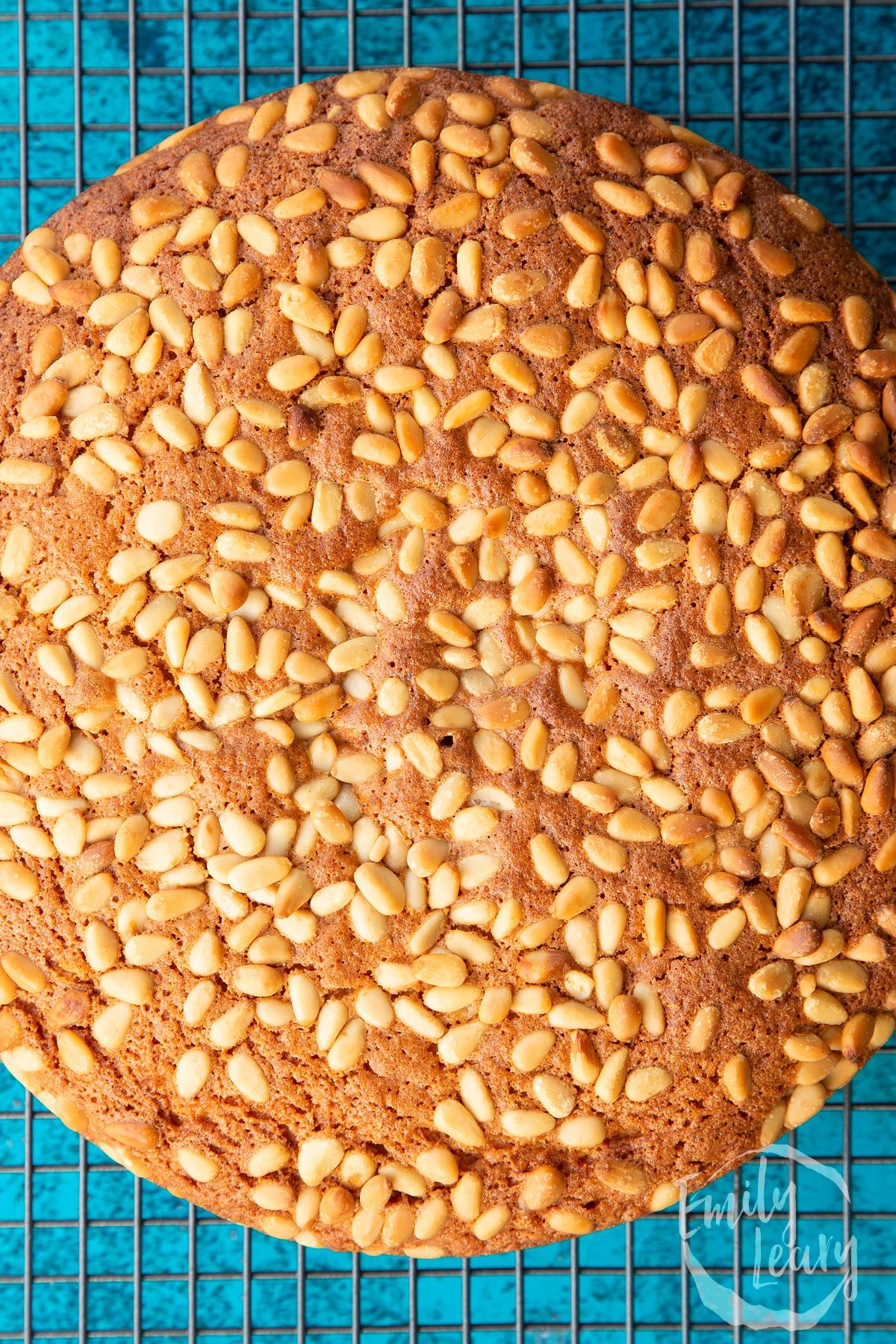 Close up of freshly baked pine nut cake on a wire rack.