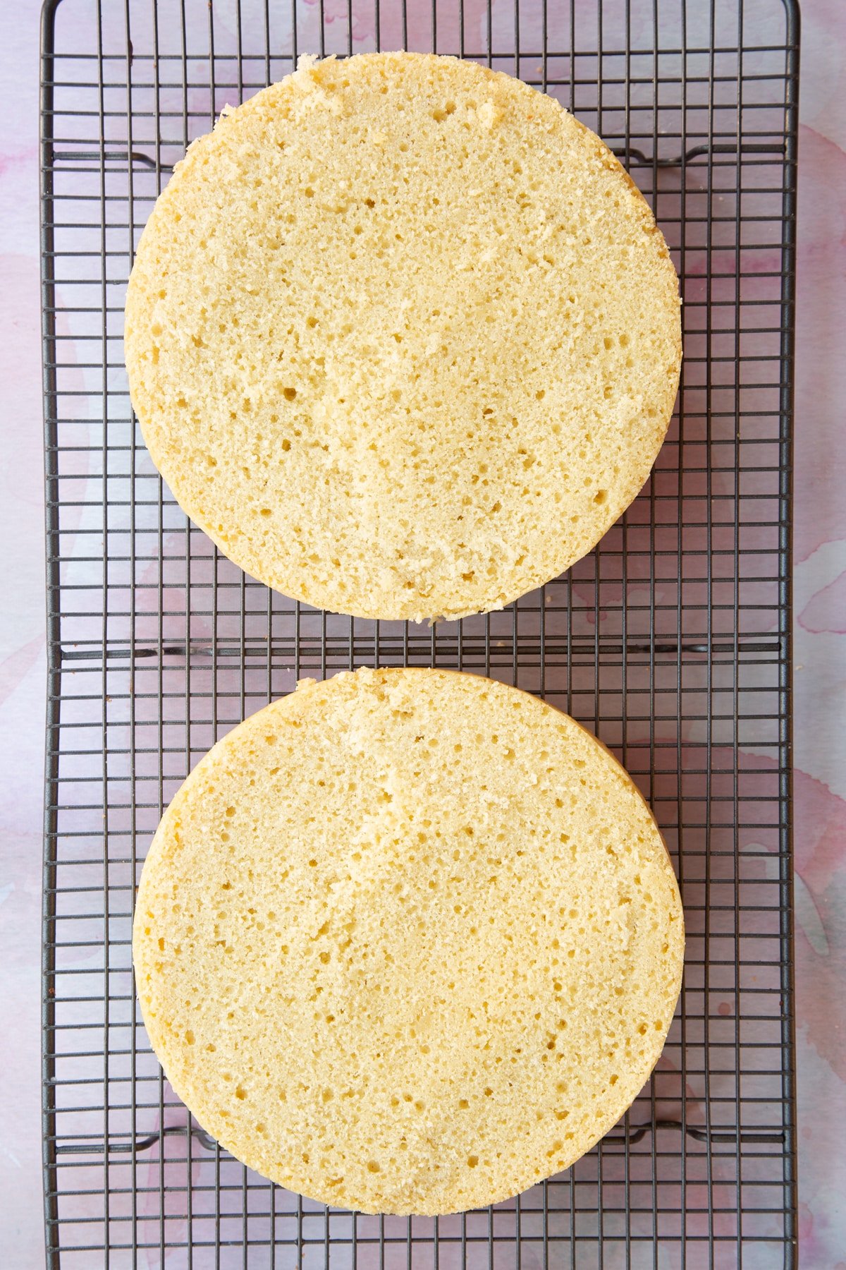 round vanilla sponge cake slinced in half horizontally to create two cakes.