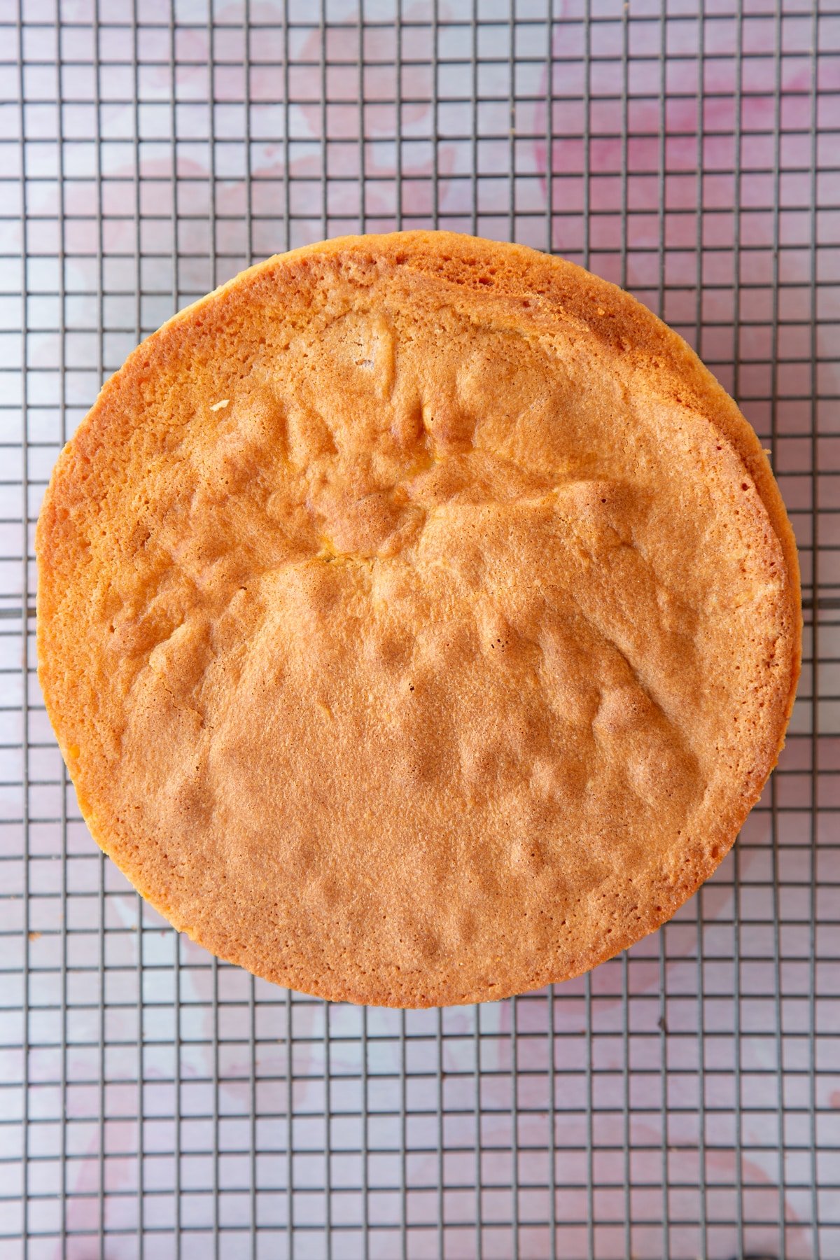 a cooked sponge cake on a wire rack.