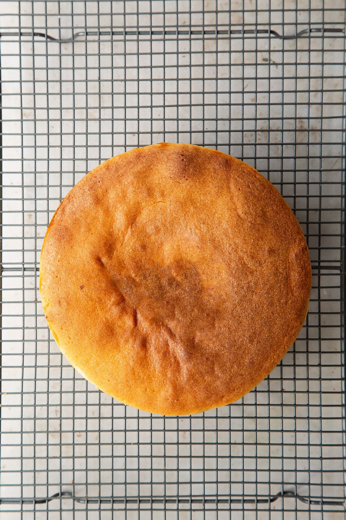 baked round plain sponge cake on a wire cooling rack. 