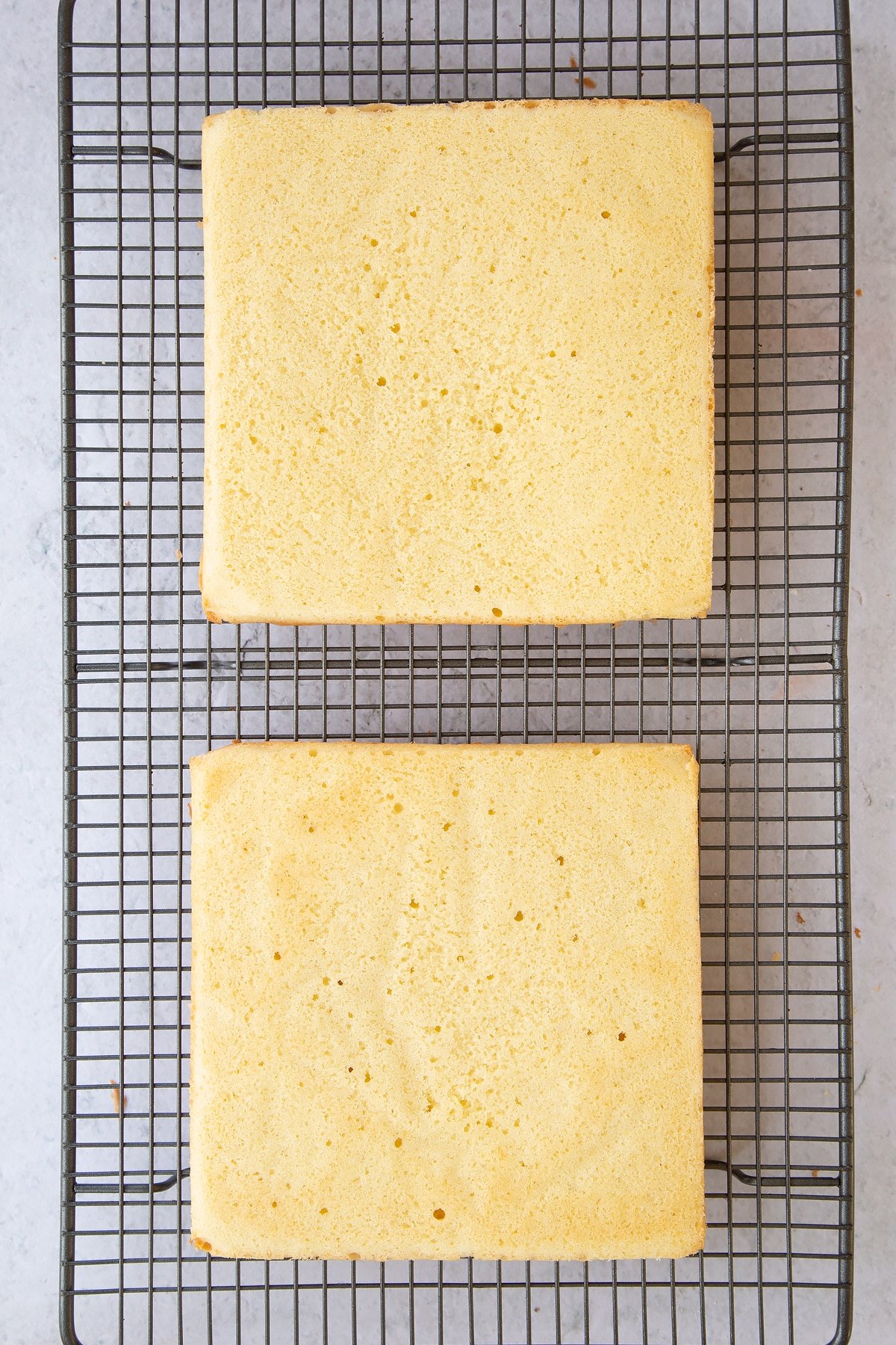 Two square sponges cooling on a wire rack.