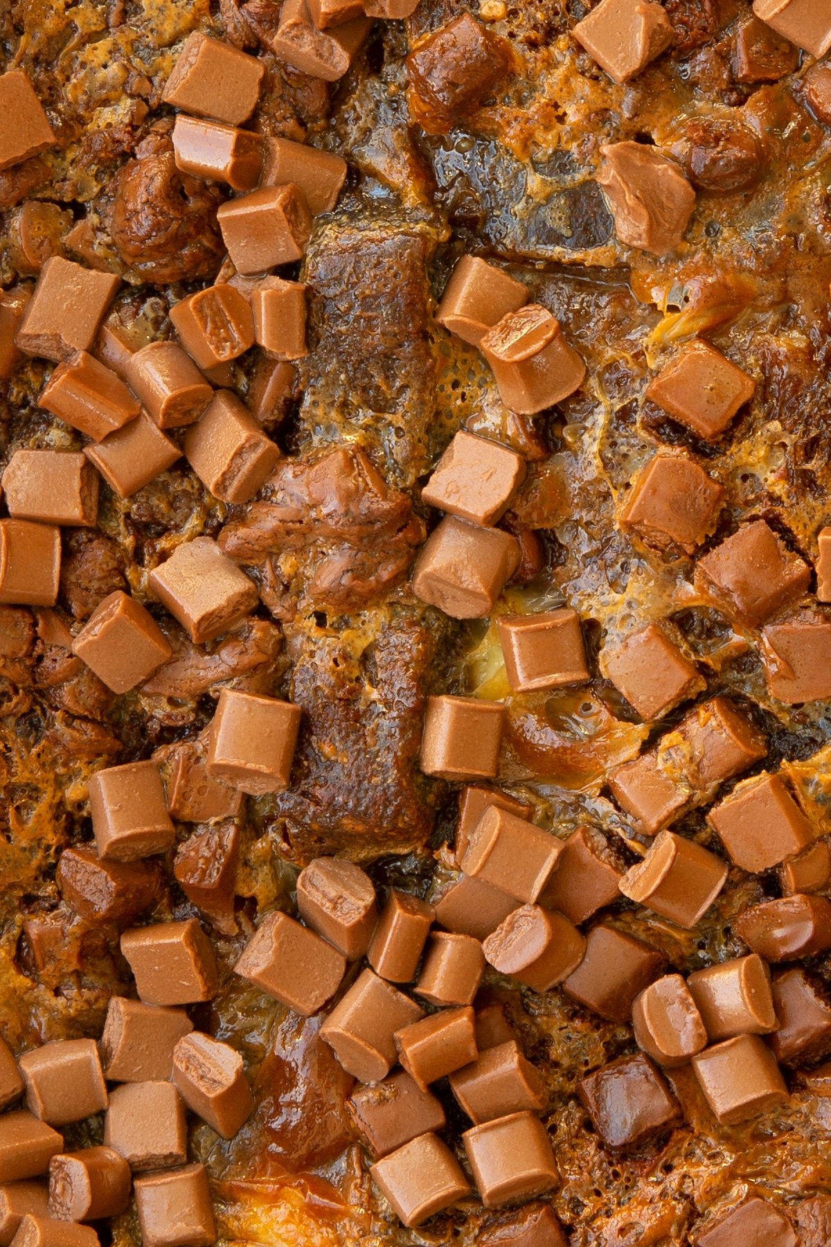 baked Malt loaf bread and butter pudding