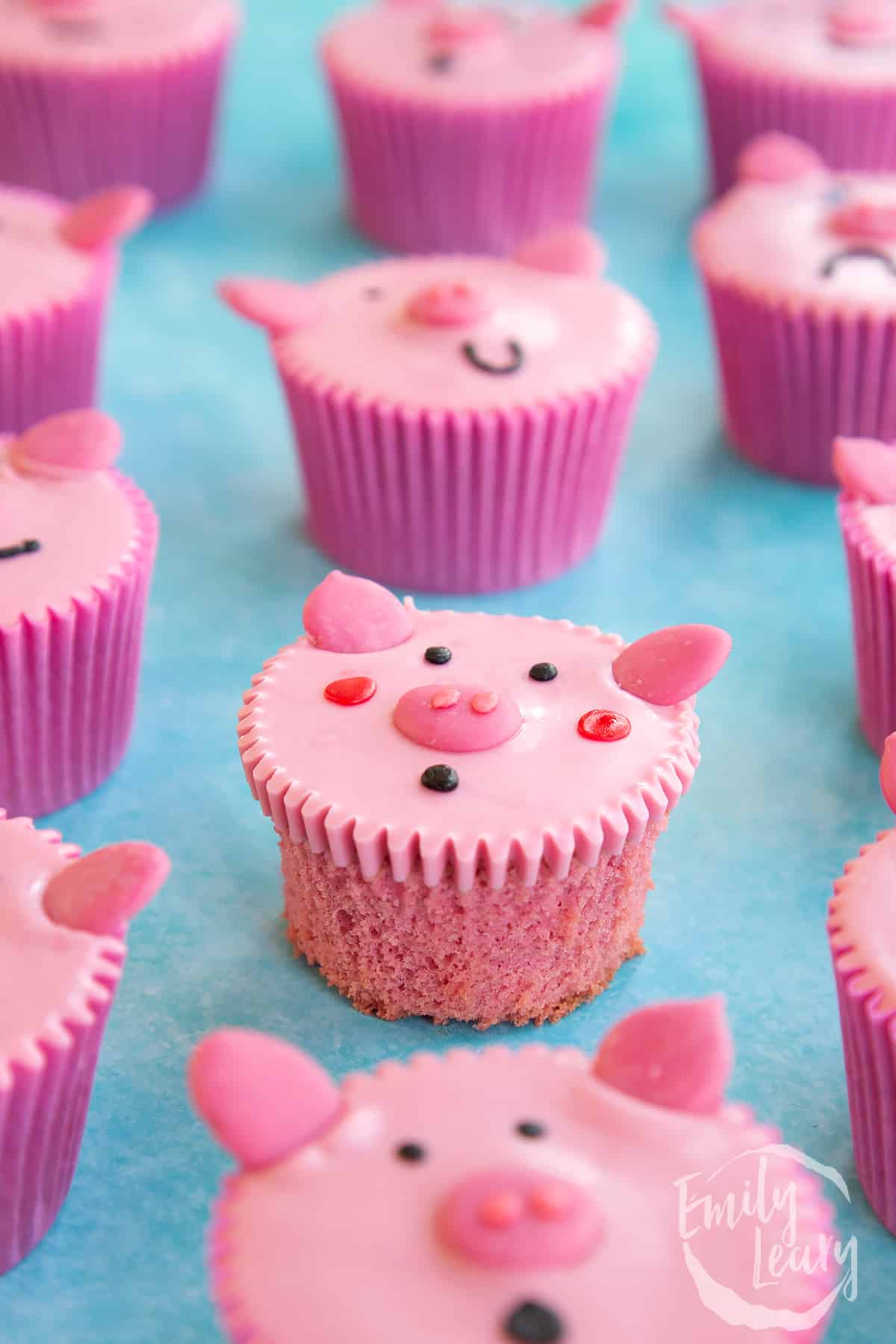 overhead view of Pink pig cupcakes in rows portraying different faces without the bun casing.