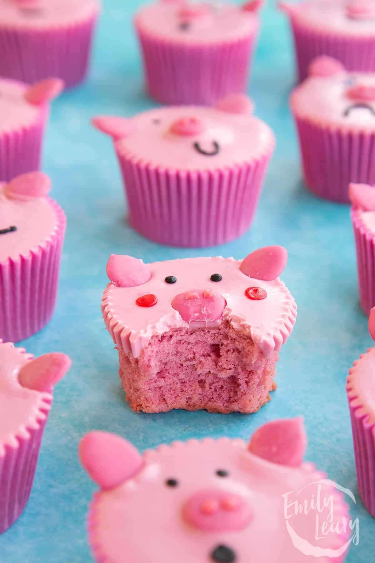 one pink pig cupcakes with a bite missing on a blue background.